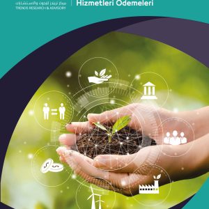 Yoksulluk ve Çevre: Sosyal Korumanın Rolü ve Ekosistem Hizmetleri Ödemeleri