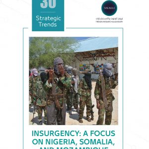 Insurgency: A Focus On Nigeria, Somalia, And Mozambique